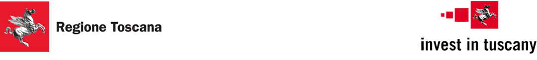 testata_questionario_RT_IiT