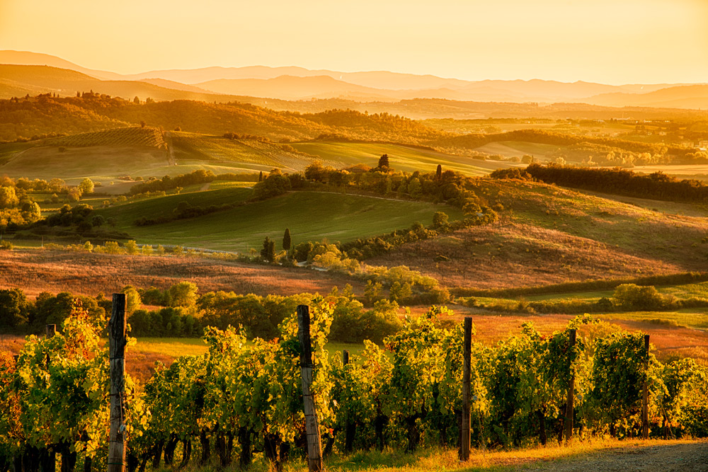 20 journalists in maremma discovering the best of agribusiness: The Alberese Estate and Sfera Agricola