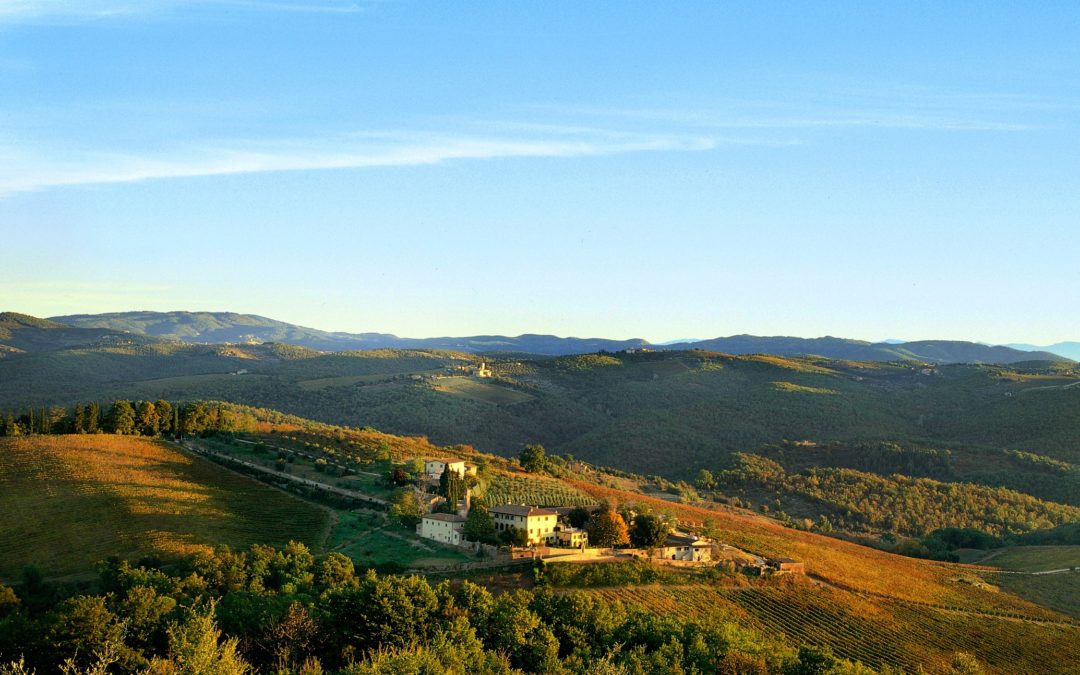 Three stories of excellence: The Student Hotel, Laika and Dievole Press tour in the Tuscany of Tourism with Invest in Tuscany