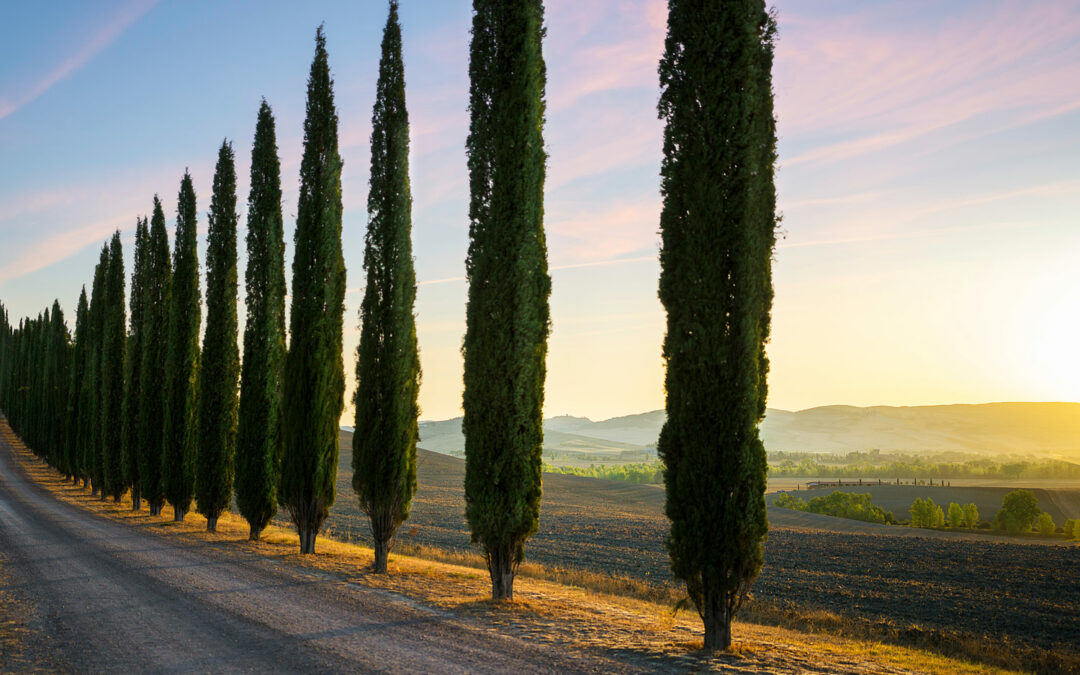 Il futuro delle aziende toscane fra volatilità e incertezza: nuove sfide