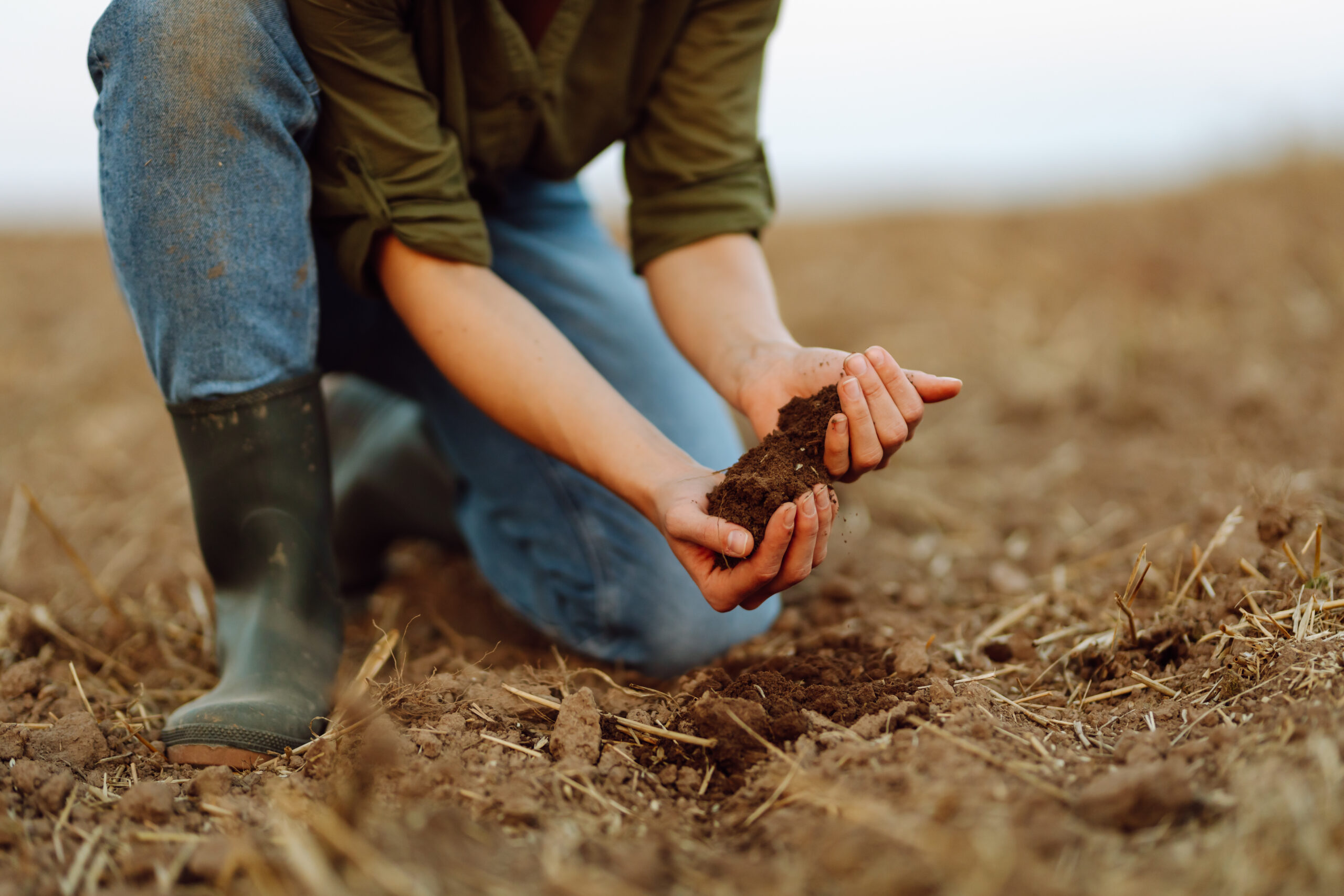 Sustainable Traditions: The School for Field Studies Brings Environmental Education to Tuscany The School for Field Studies opens its first Italian campus in Greve in Chianti, offering students immersive research on sustainable food systems and environmental conservation.